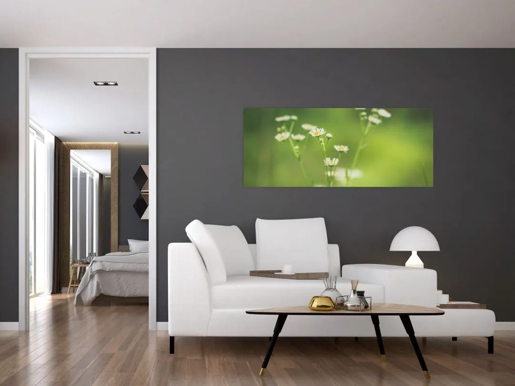 Egy százszorszép képe (120x50 cm)