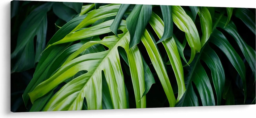 Kép - trópusi levelek (120x50 cm)