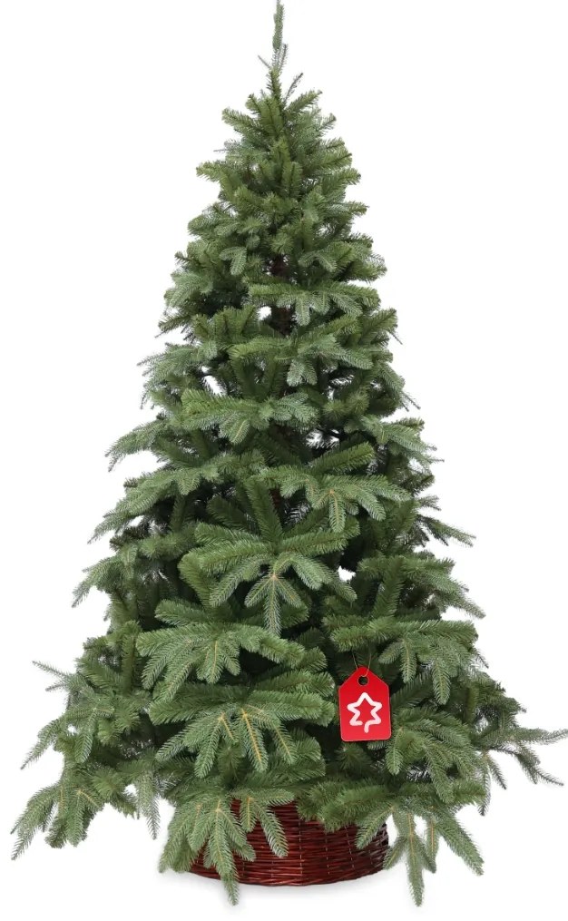 Natura jegenyefenyő 3D 150 cm