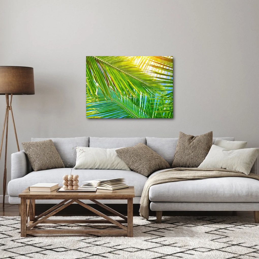 Kép - Pálmalevelek (70x50 cm)