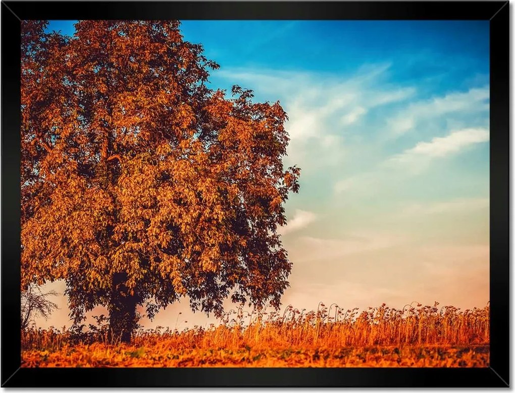 Poszterek keretben 40x30 Őszi színek Tájkép