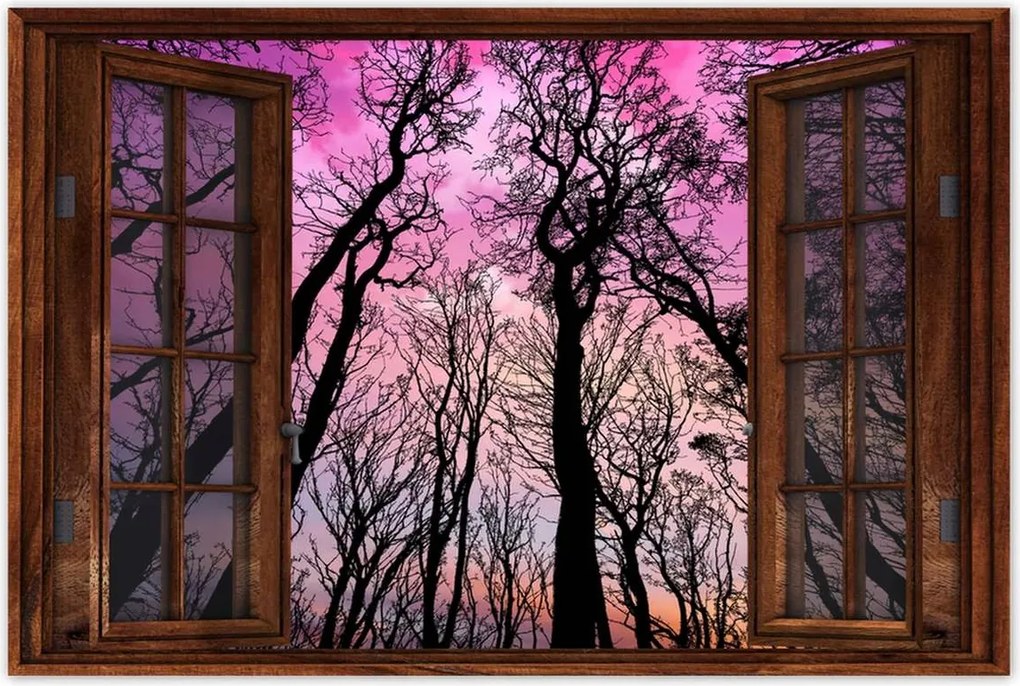 Poszterek 90x60 Erdő Fák Kilátás alulról