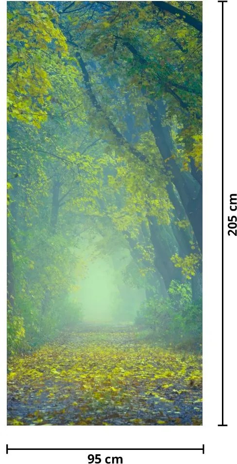Fotótapéta ajtóra - Fákkal szegélyezett út (95x205cm)