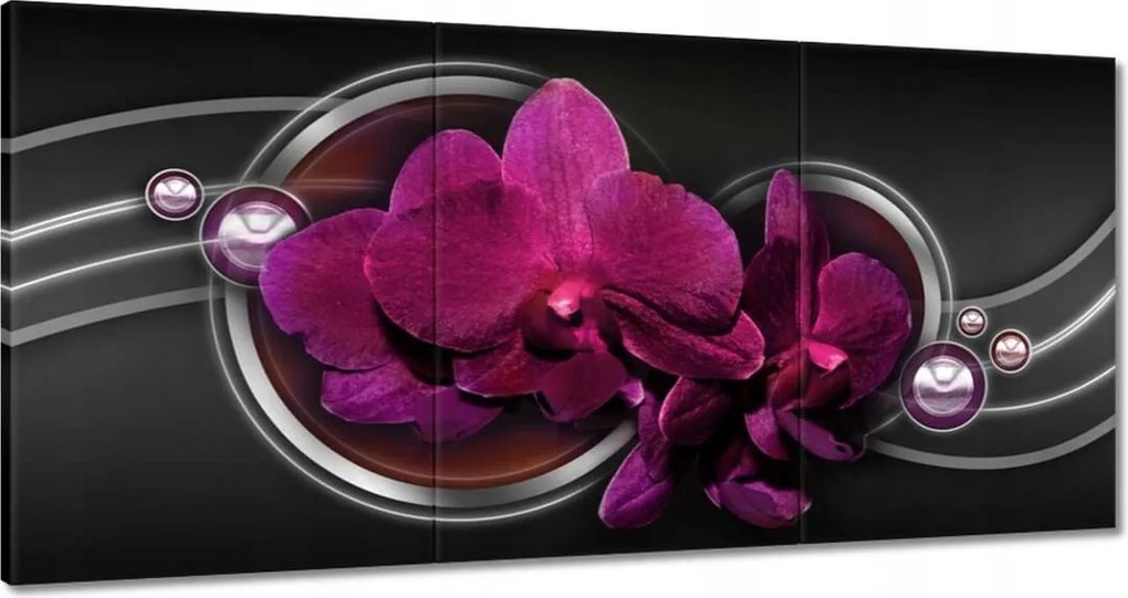 Vászonkép 180x90 Orchidea Virág Virágok
