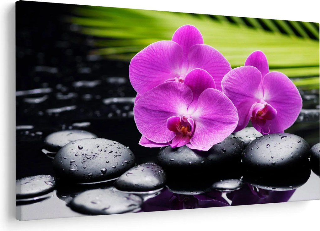 Kép - Orchideák (90x60 cm)