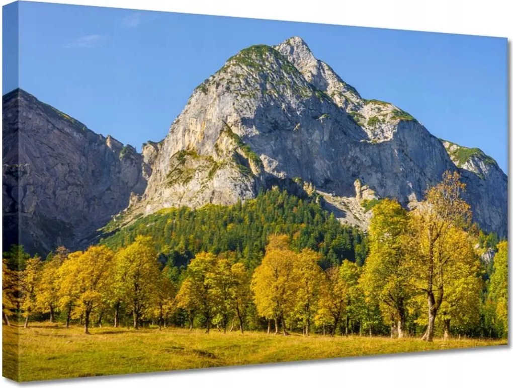 Vászonkép 30x20 Hegyi táj tiszta égbolttal Fák a hegyekben