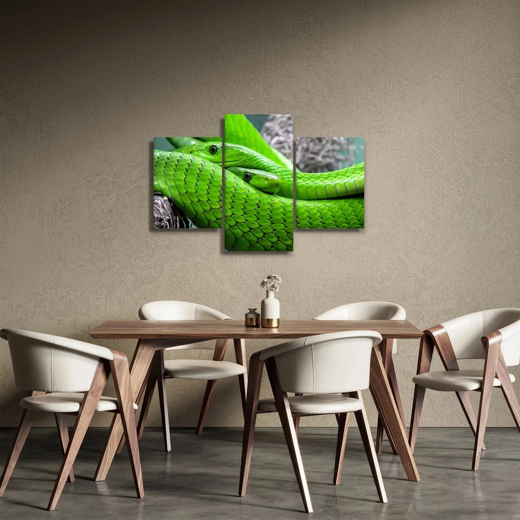 Zöld kígyók képe (90x60 cm)