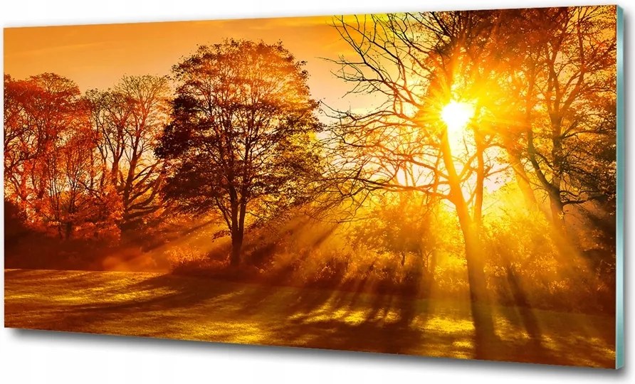 Fotó üvegkép Tengerparti dűnék 100x70