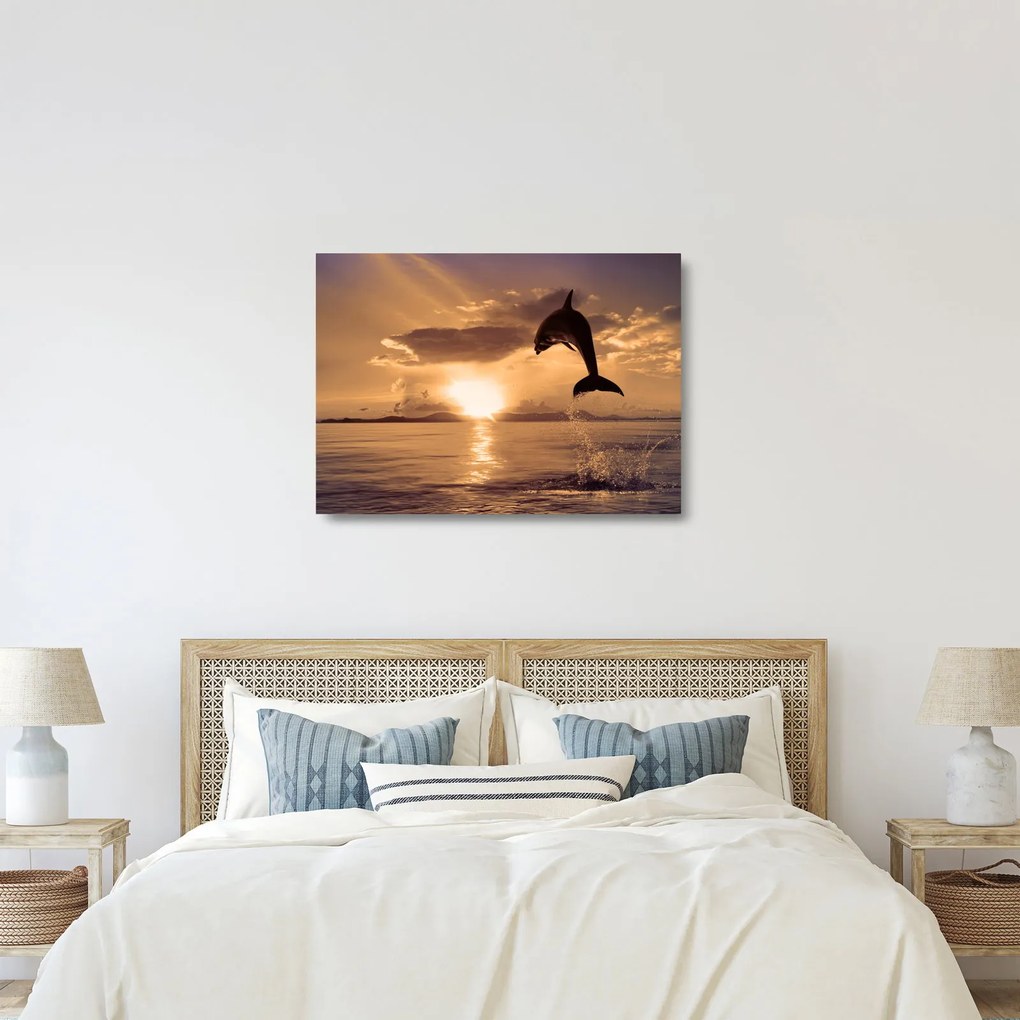 Üveg kép - Delfin naplementében (70x50 cm)