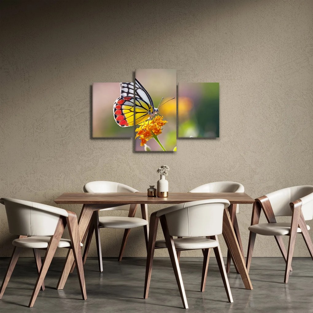 Egy pillangó képe a virágon (90x60 cm)