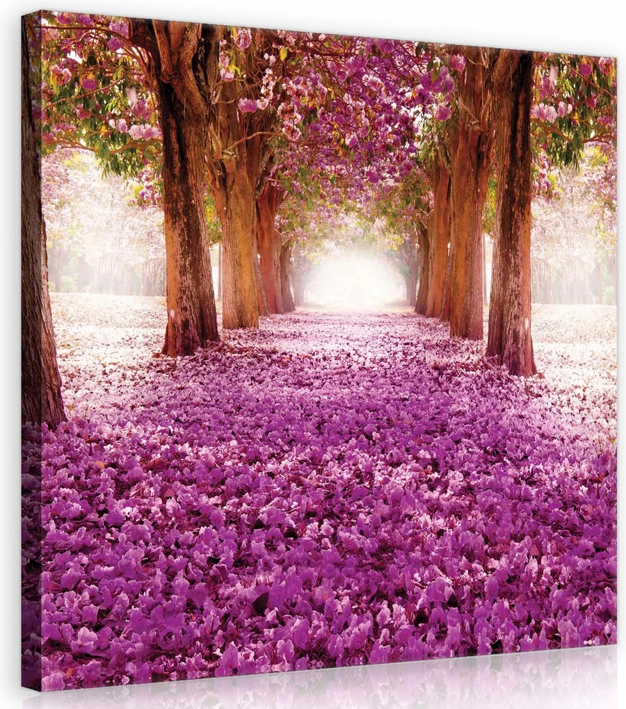 Vászonkép 40x40 Provence rózsaszín sarka Finom akcentus a nappaliba