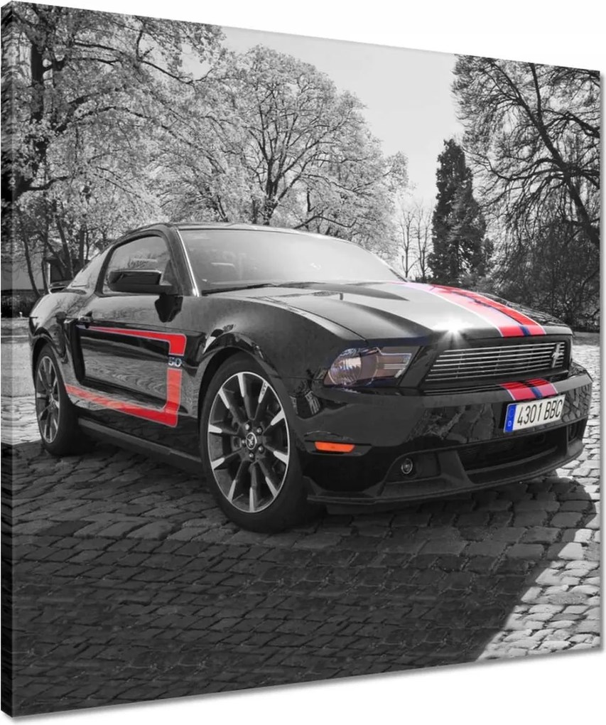 Vászonkép 50x50 Fekete Ford Mustang Usa