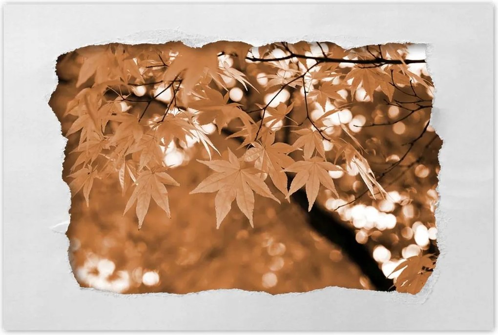 Poszterek 90x60 Szépia Őszi levelek