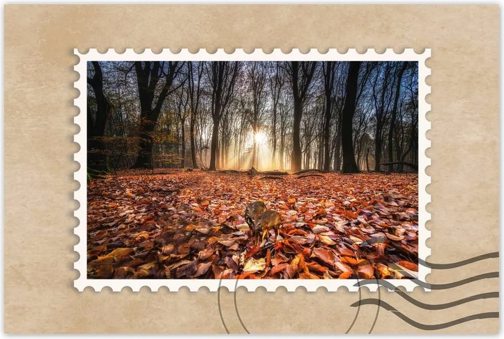 Poszterek 90x60 Kihalás fenyegeti