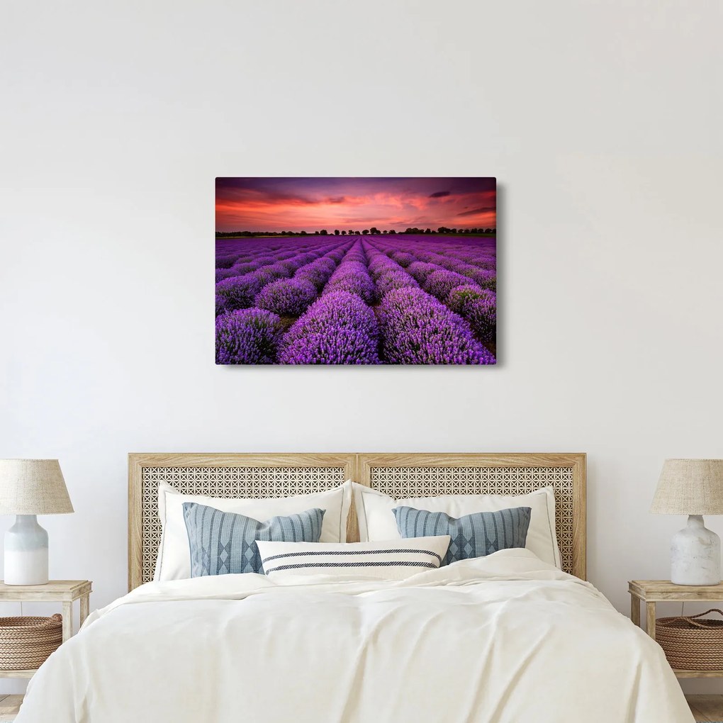 Kép - Levendula mező (90x60 cm)