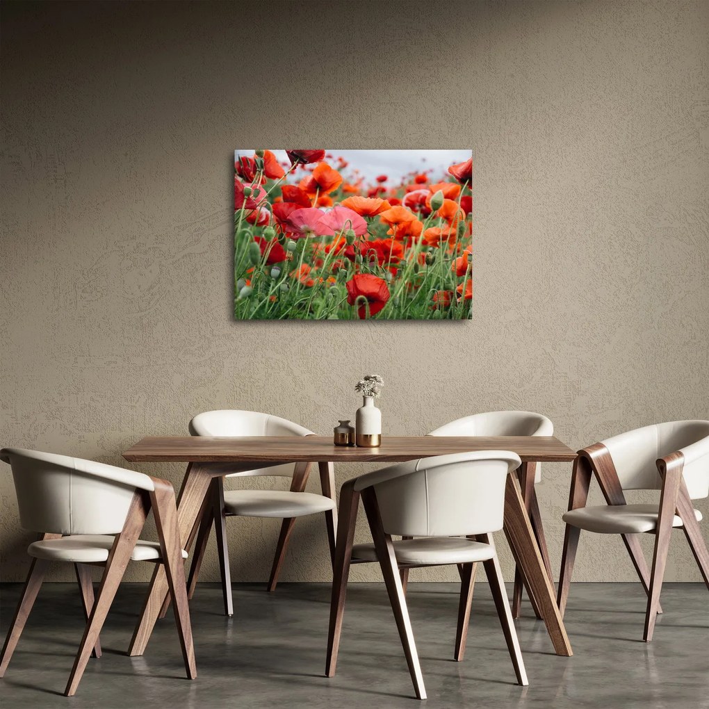 Egy kép a pipacs mezőről (70x50 cm)