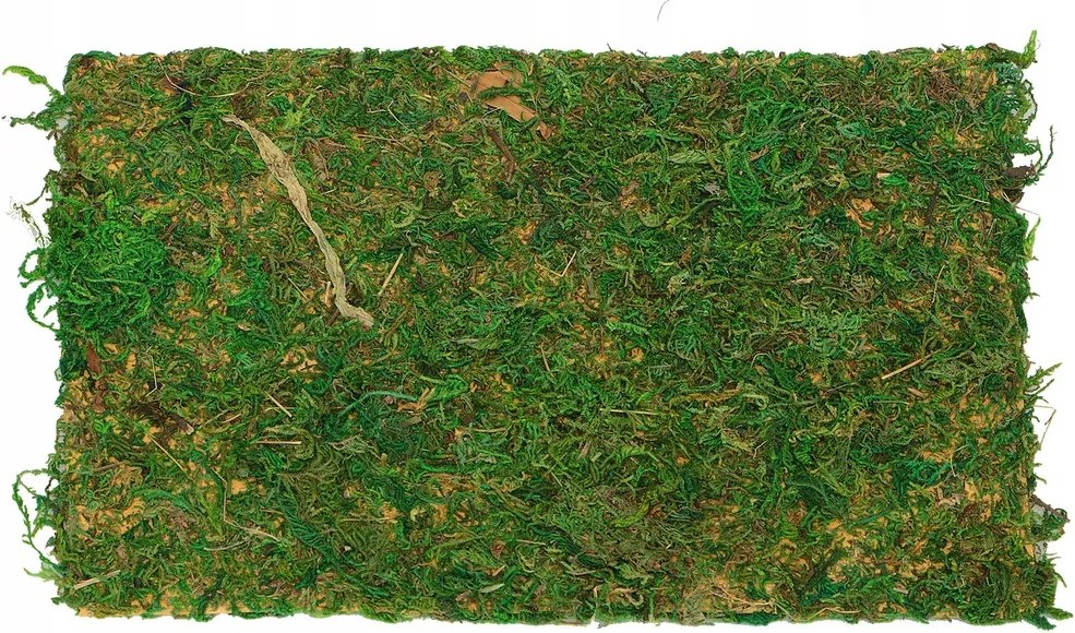 Moha Alátét moha makett betlehem fű Nagy Szőnyeg 50x70 cm