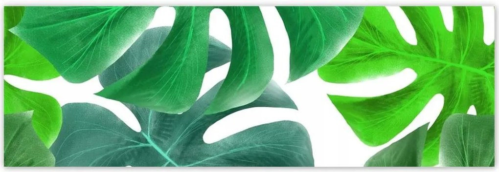 Poszterek 200x66 Levelek Monstery Trópusok