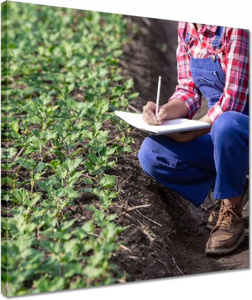 Vászonkép 40x40 Modern mezőgazdaság