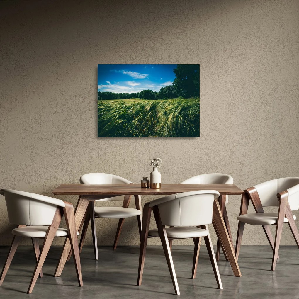 Rét és az erdő képe (üvegen) (70x50 cm)