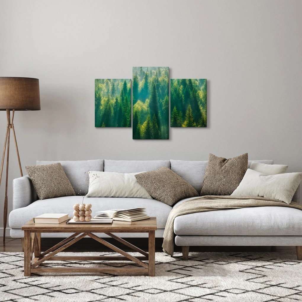 Kép - fenyőerdő (90x60 cm)