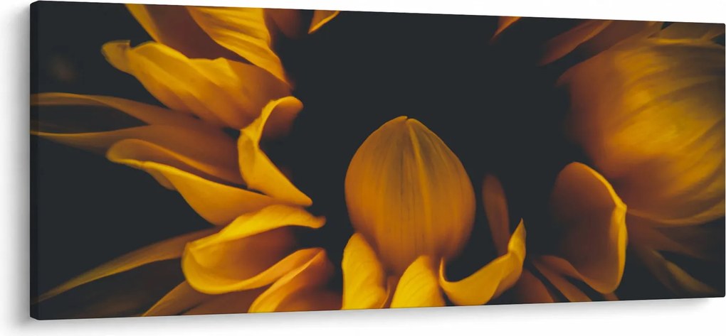 Kép - Napraforgó fekete háttérben (120x50 cm)