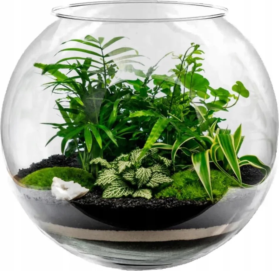 Üveg váza gömb 12L akvárium puncs gömb Aperol Sangria 24,5cm