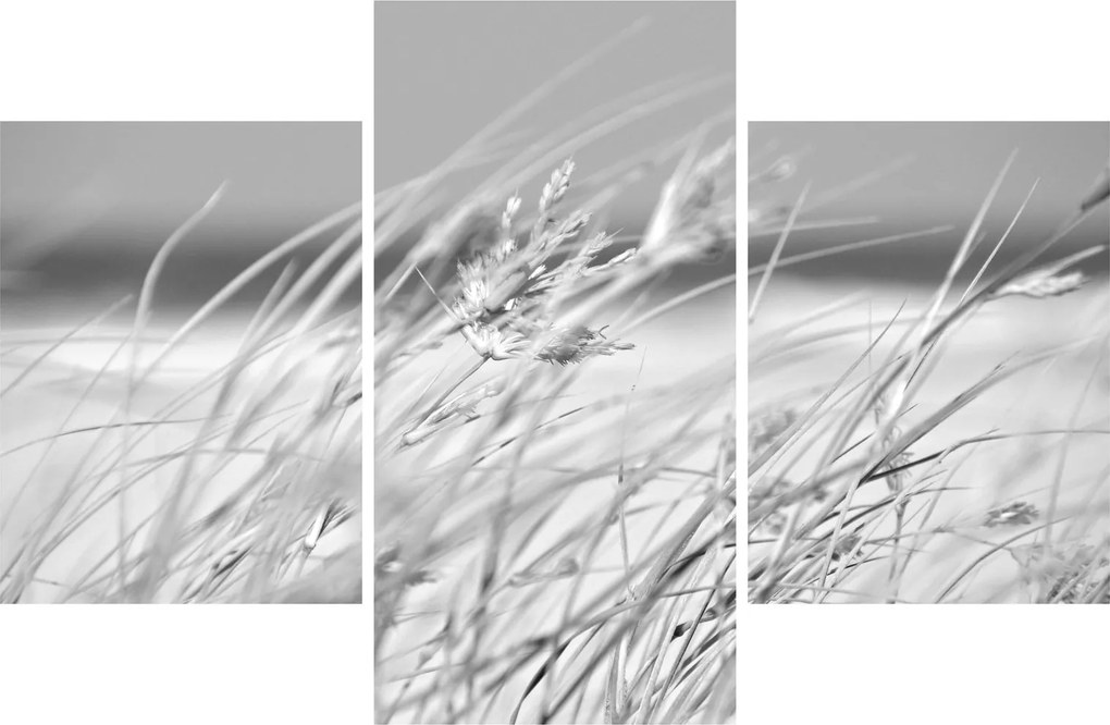 Kép - Strandfű (90x60 cm)