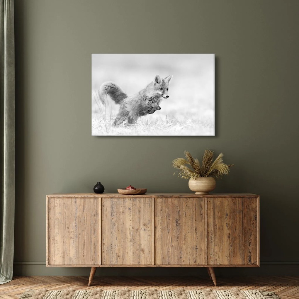 Kép - Ugró róka, fekete-fehér (90x60 cm)