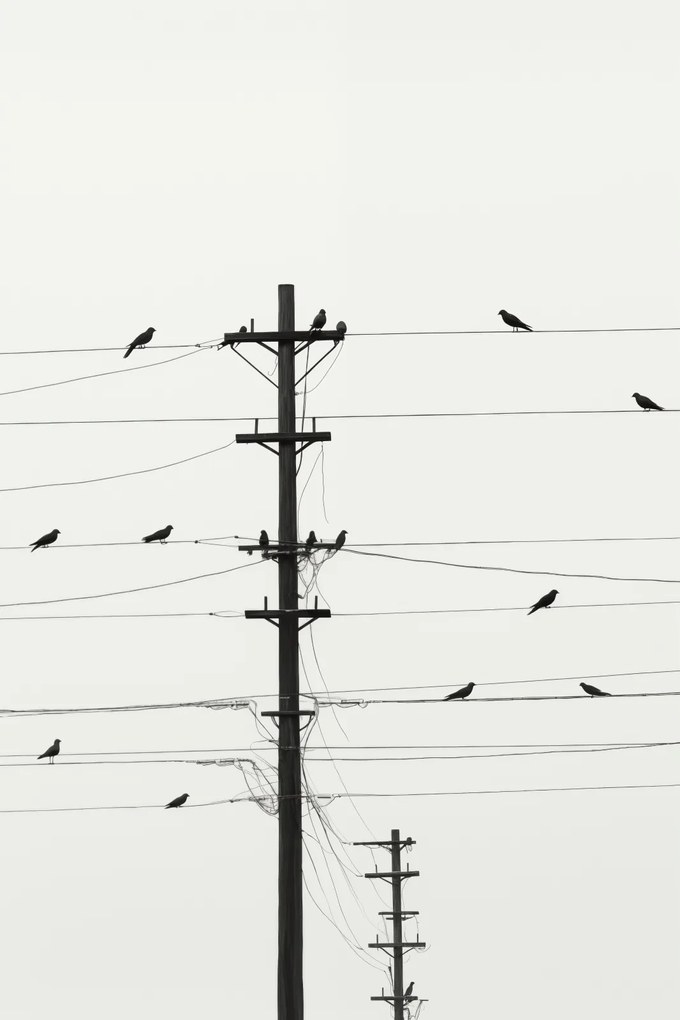 Poszter 61x91,5cm Szimfónia a dróton