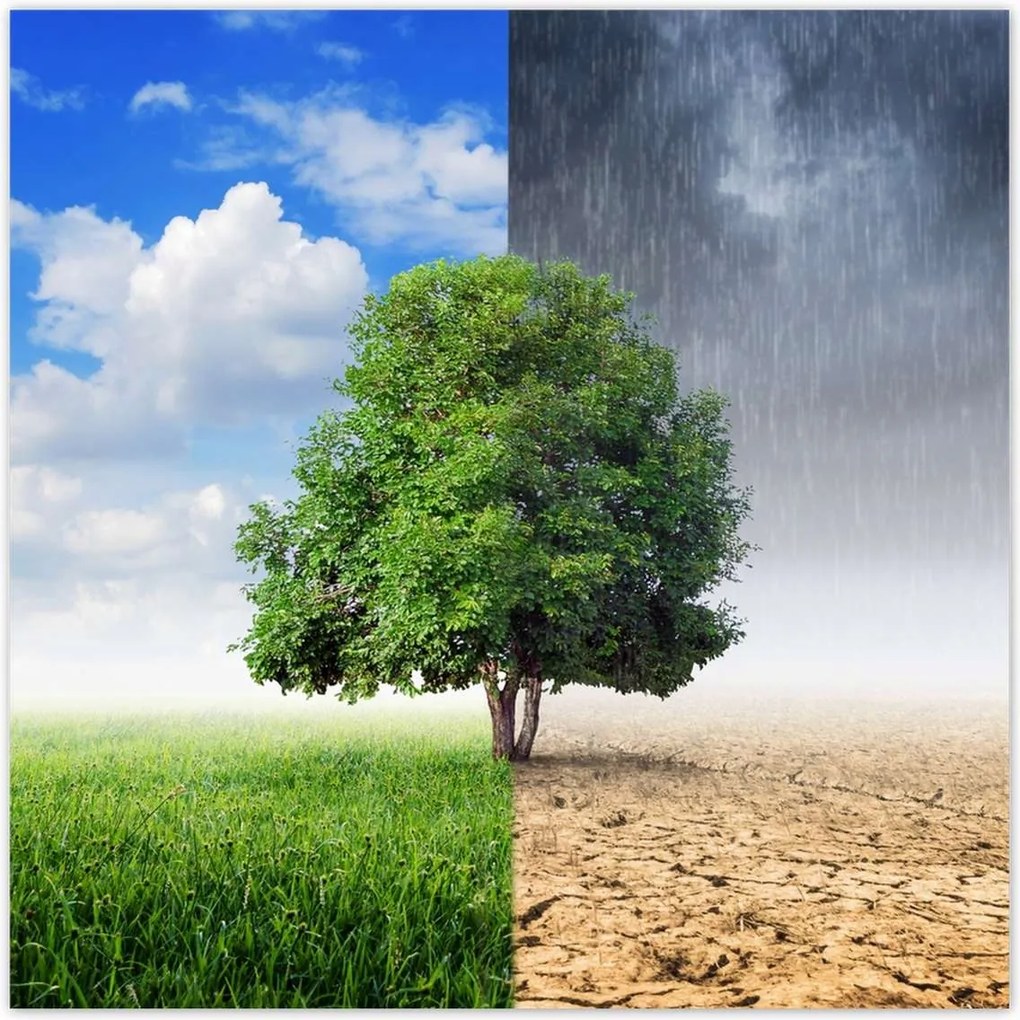 Poszterek 100x100 Esős évszak