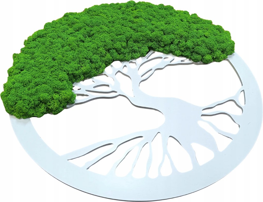 Kép Moha Élő Bonsai Fa Fali Dekoráció