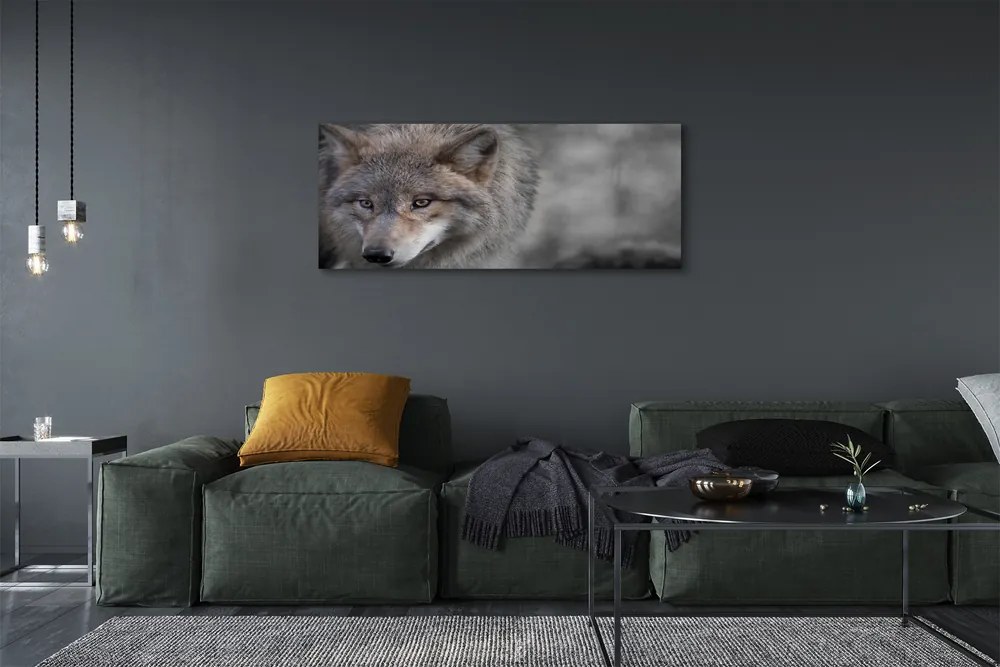 Canvas képek Farkas 125x50 cm