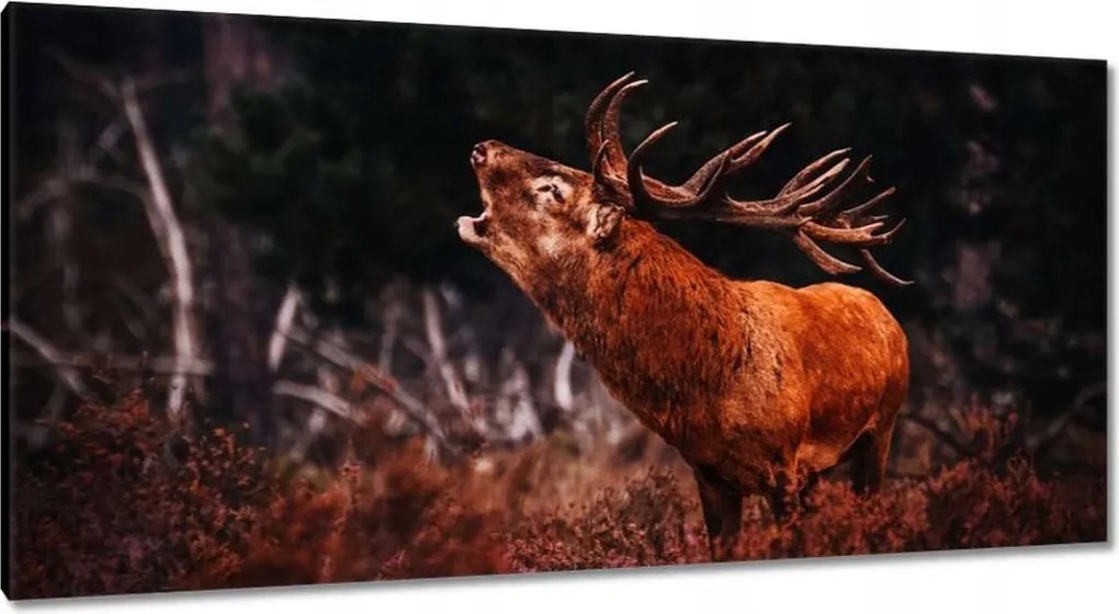 Vászonkép 115x55 Szarvas az erdőben