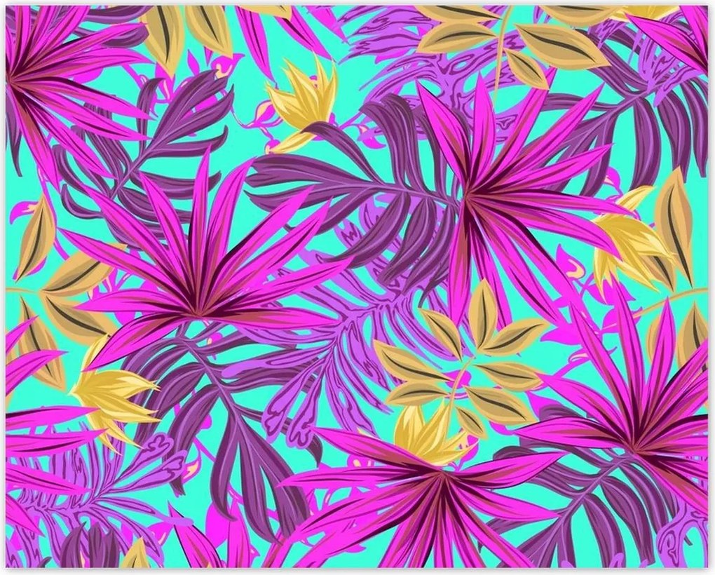 Poszterek 50x40 Egzotikus levelek Trópusok