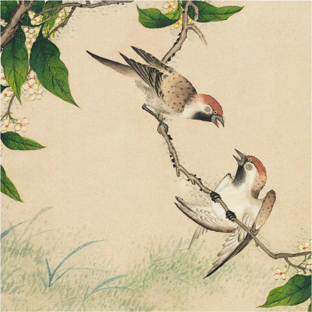 Flizelina Dekoratív Fotótapéta Hálószobába Klasszikus duó 250x250 Ragasztó