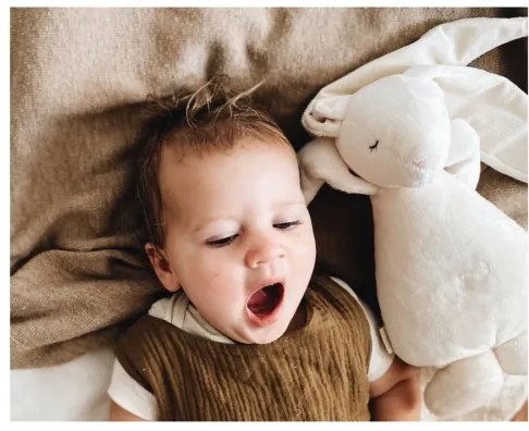 Moonie - Snuggle buddy dallammal és lámpával nyuszi krém