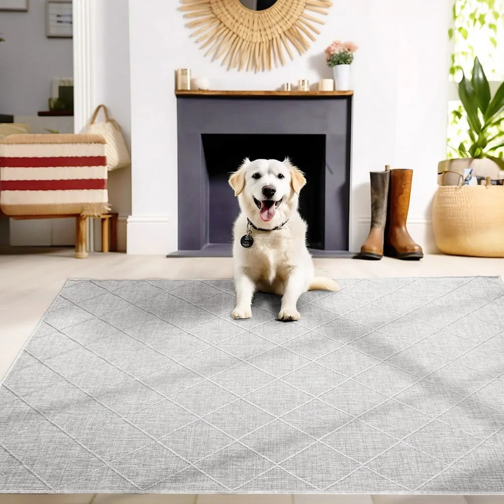 Szürke kültéri szőnyeg 120x170 cm Zagora – Ayyildiz Carpets