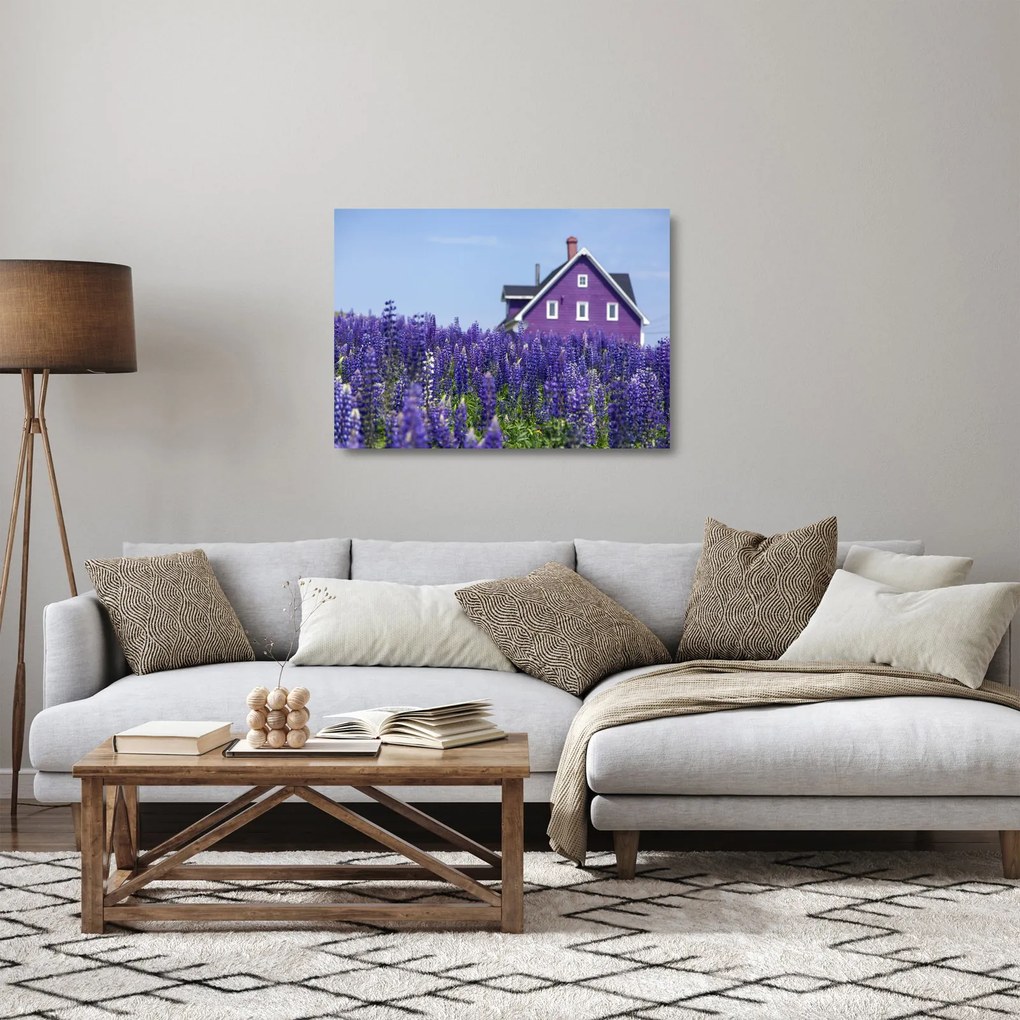 Levandula mező képe (üvegen) (70x50 cm)