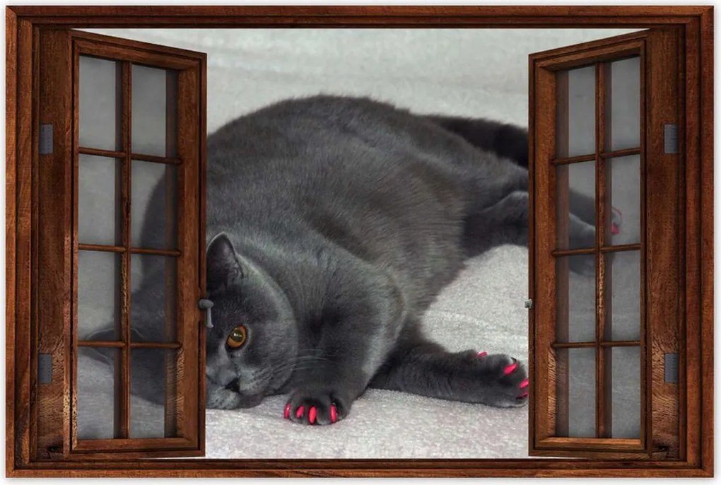 Poszterek 120x80 Cica Cicák