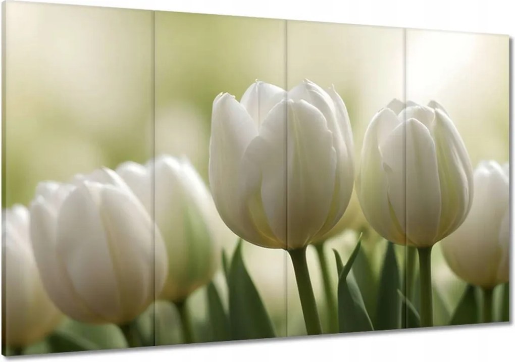 Vászonkép 120x80 Fehér tulipánok