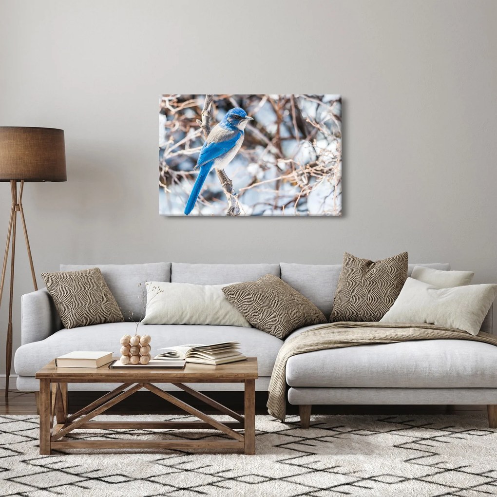 Kép - Téli madár (90x60 cm)