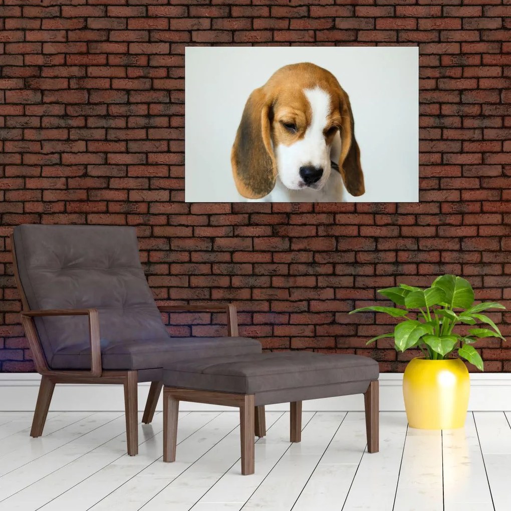 Beagle képe (90x60 cm)