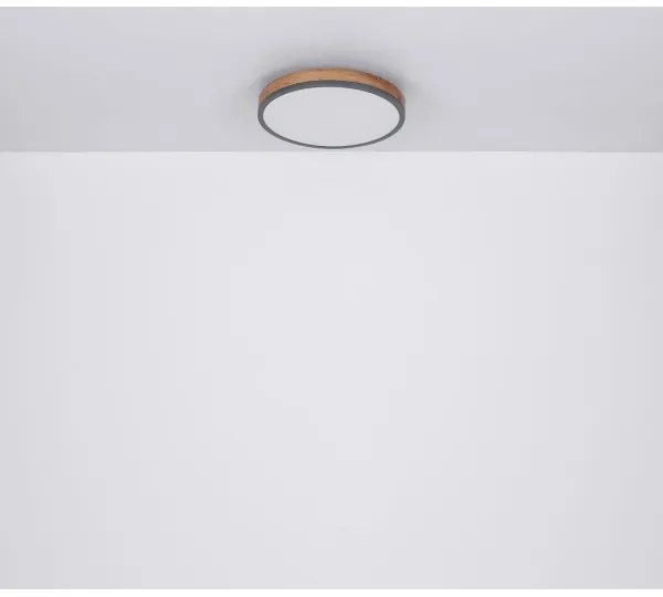 Globo 416080WD1R - LED Mennyezeti lámpa DORO LED/12W/230V á. 30 cm