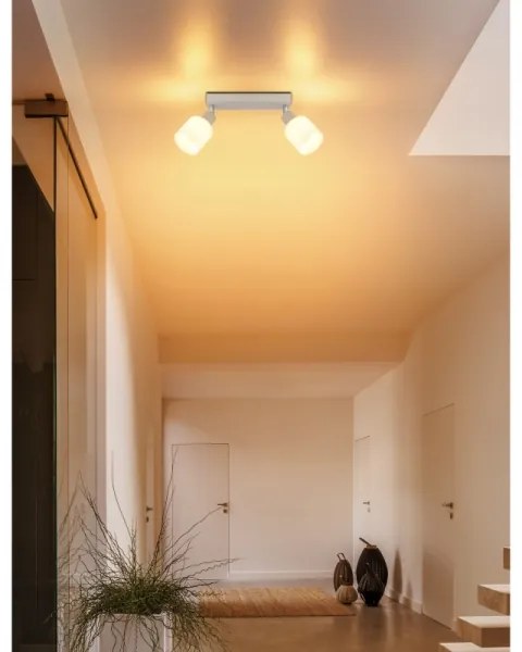 Globo 54114-2 - TRENT irányítható spotlámpa 2xE14/25W/230V