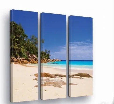 Vászonkép 90x100 Trópusi tengerpart paradicsom óceán nyár nap homok pálmafák