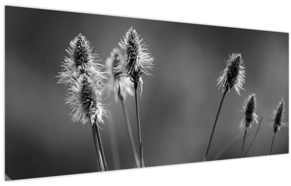 Kép - Bézs színű puha fű N⁰2 (120x50 cm)