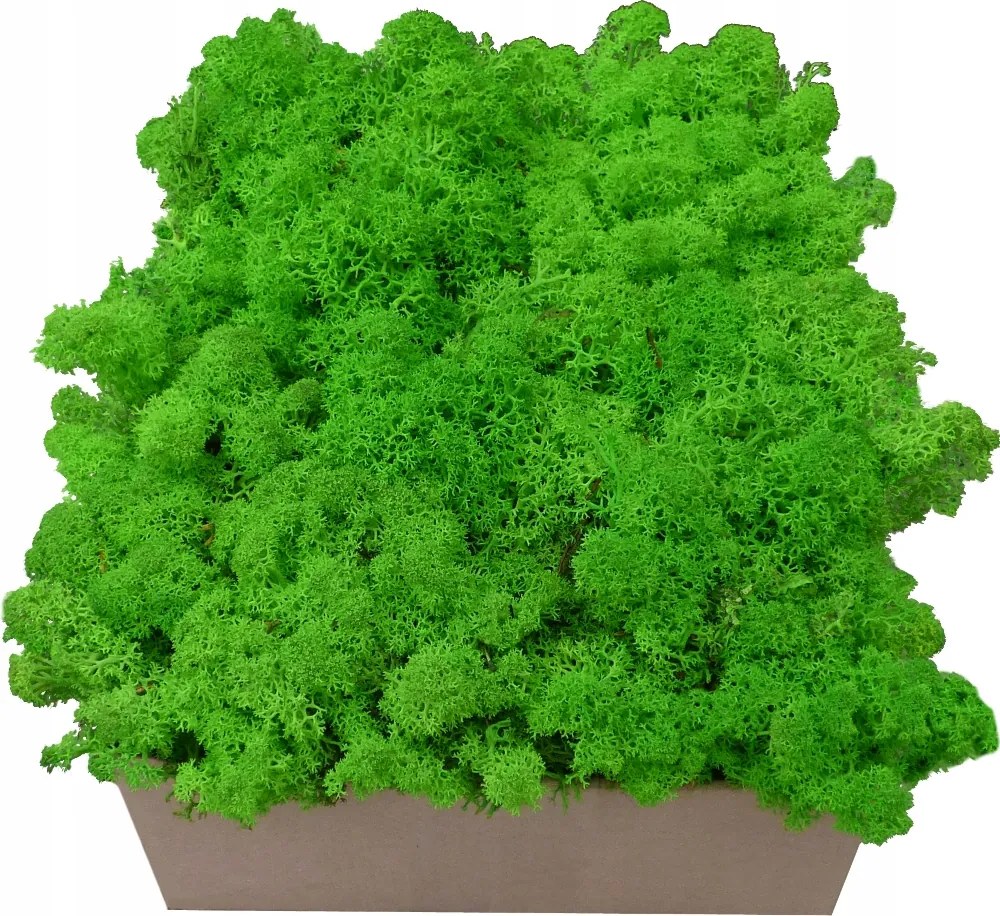 Moha Fűszerkeverék Élő Zöld Karton 300g