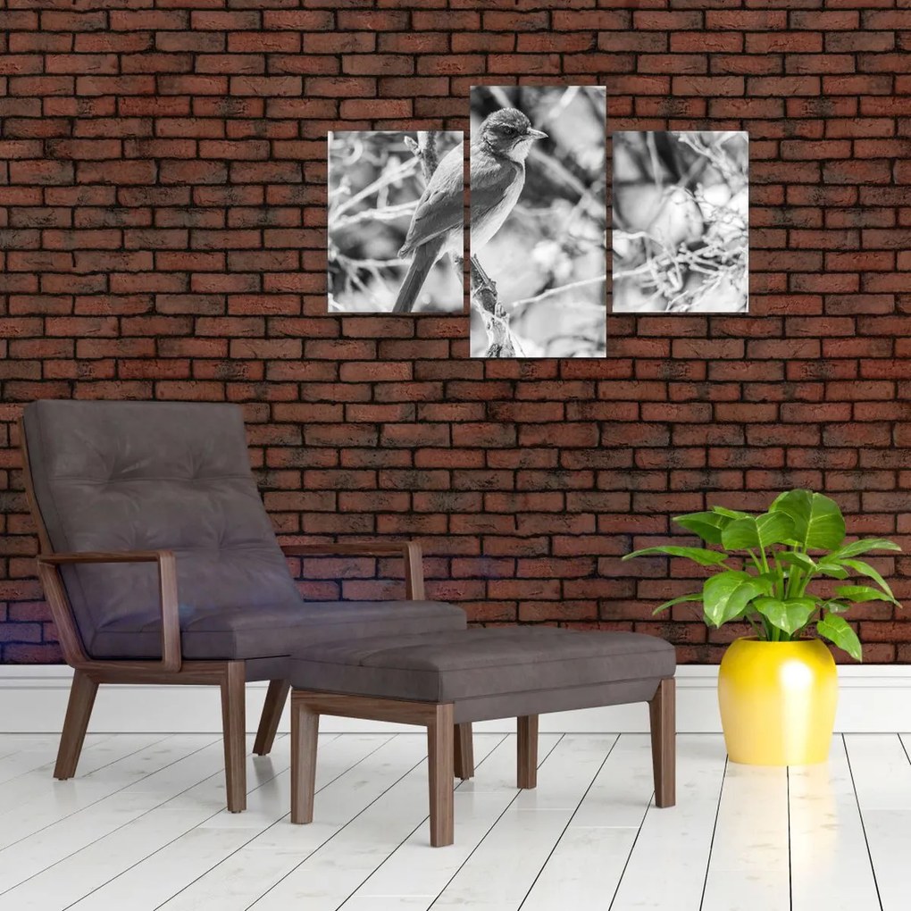 Kép - Kék madár télen (90x60 cm)
