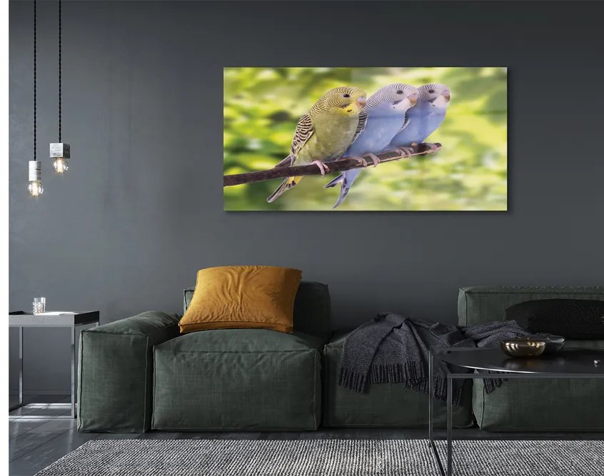 Akrilkép Színes papagáj egy ágon 100x50 cm